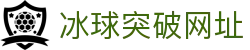 MG冰球突破·豪华版(试玩)官方网站